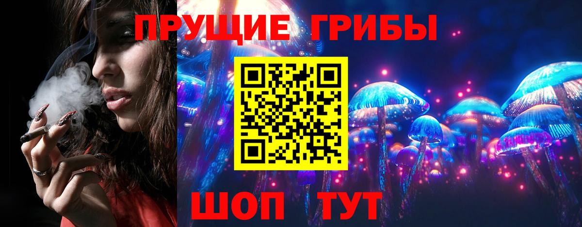 Псилоцибиновые грибы Cubensis  Вход с VPN  Курчалой 